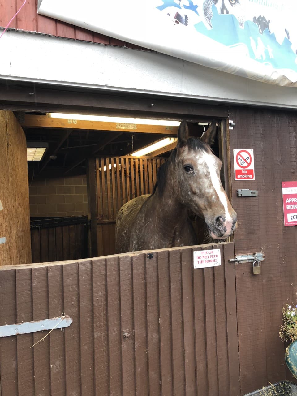 St James City Farm - image 1