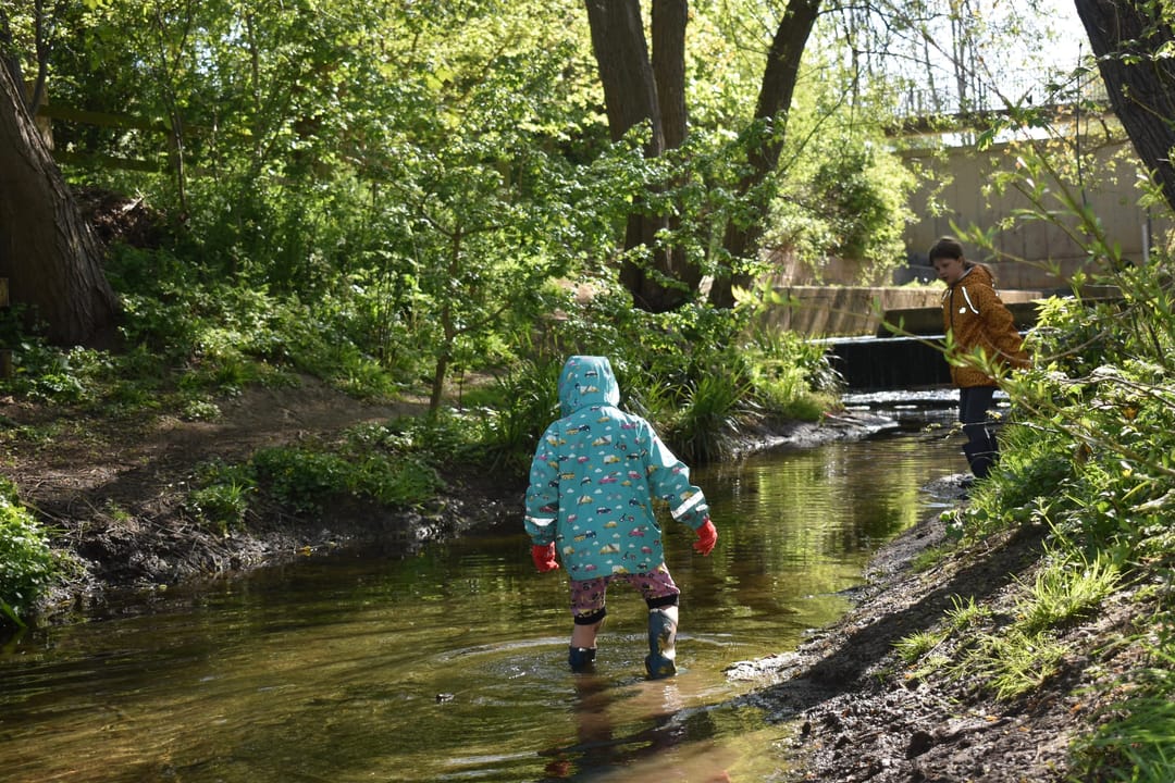 Saintbridge Balancing Ponds - image 3