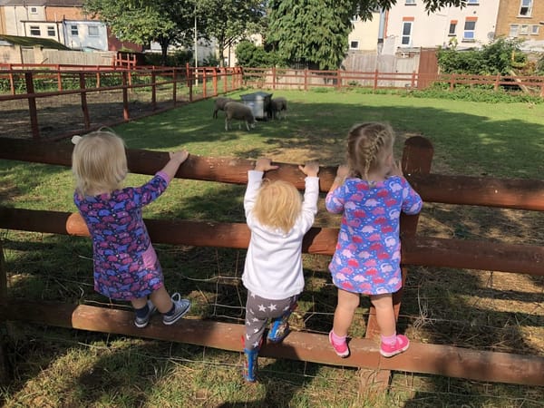 St James City Farm