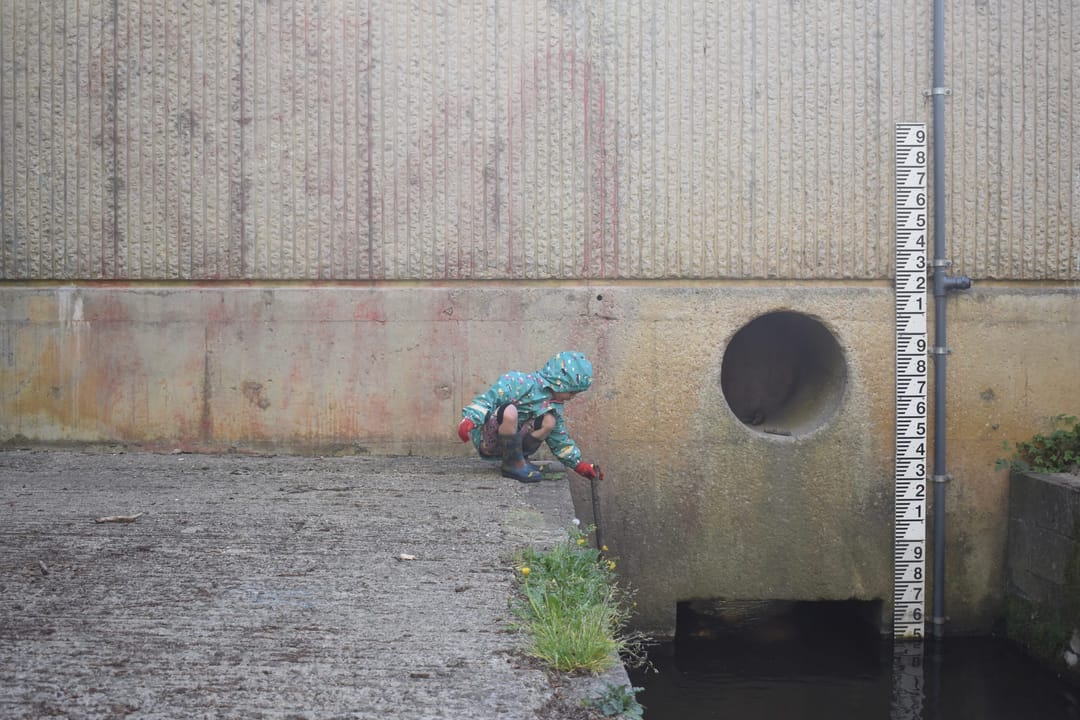 Saintbridge Balancing Ponds - image 2