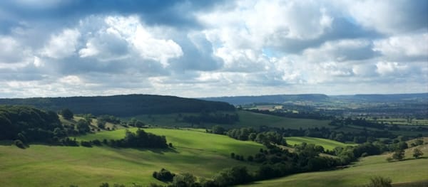 Randwick Ramble (Randwick Woods)