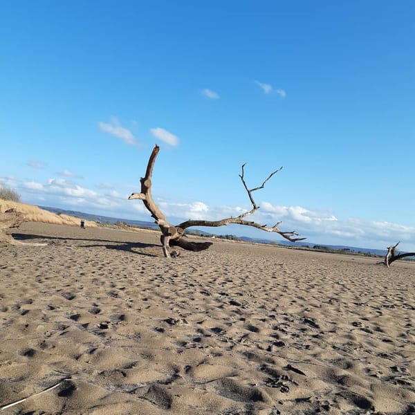 Longley Sands