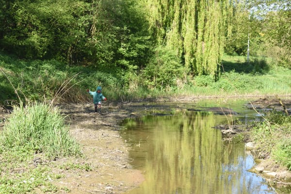 Saintbridge Balancing Ponds