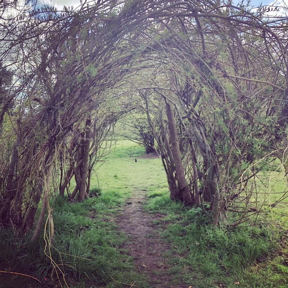 Saul Park - image 2