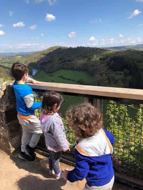 Symonds Yat Rock - image 3