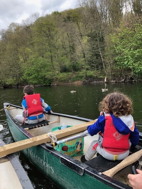 Symonds Yat Rock - image 5