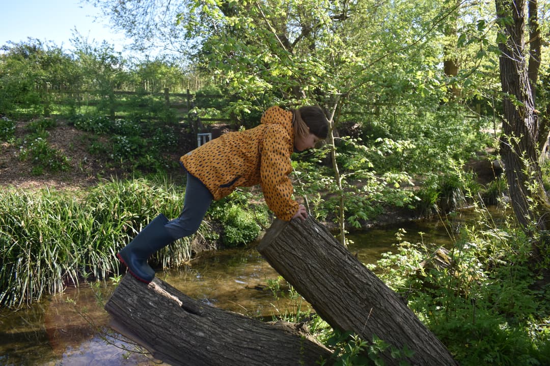Saintbridge Balancing Ponds - image 1