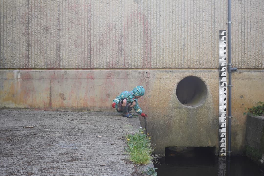 Saintbridge Balancing Ponds - image 2