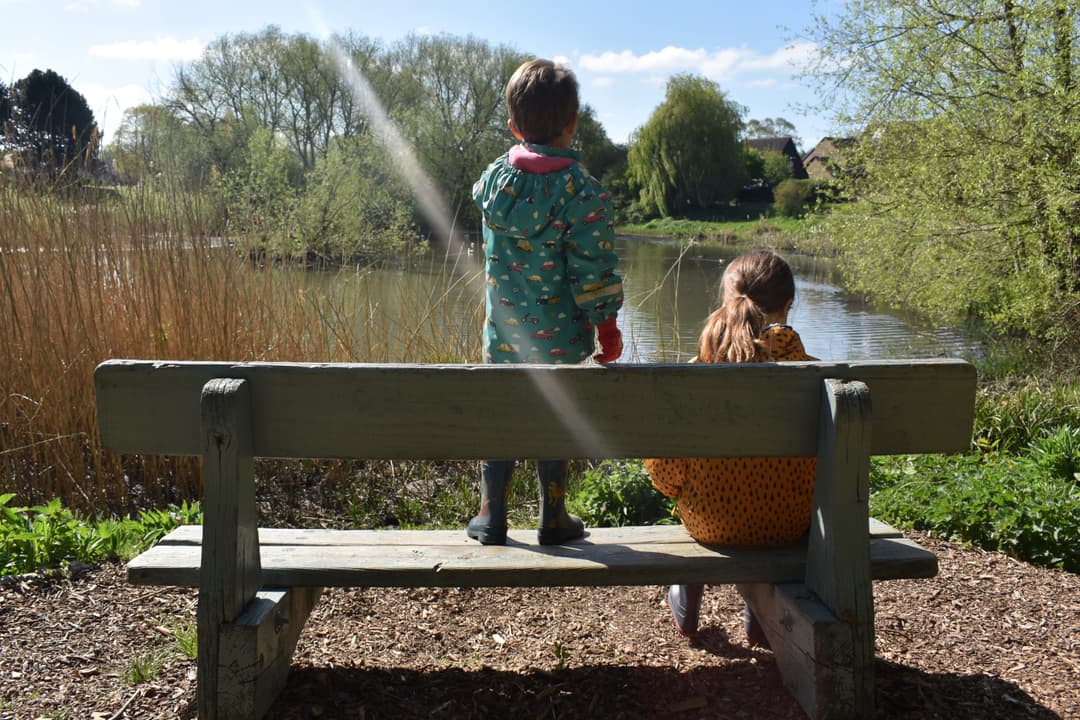 Saintbridge Balancing Ponds - image 3