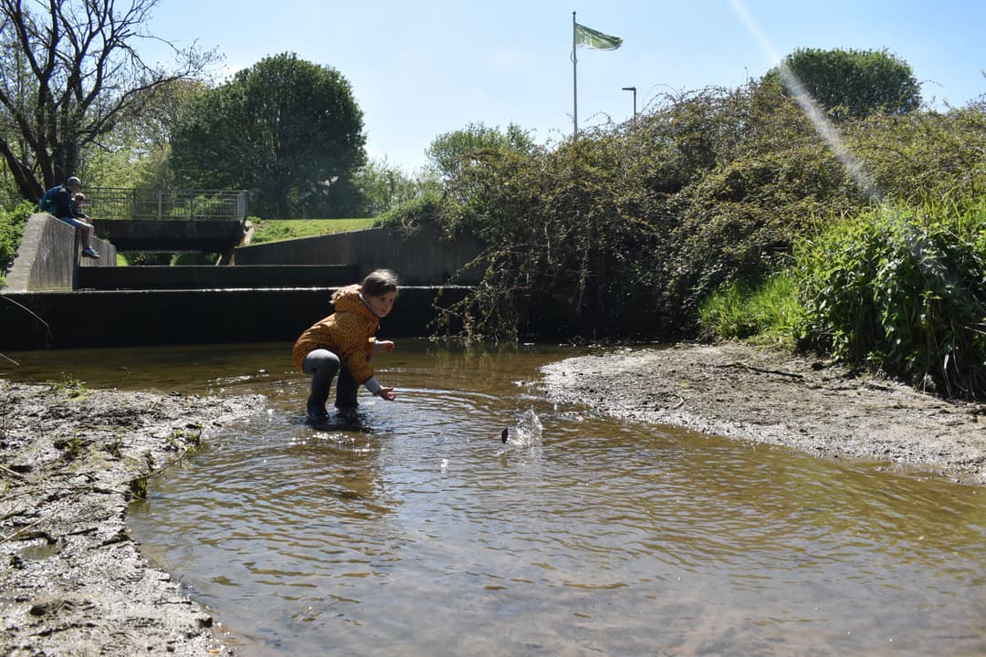 Saintbridge Balancing Ponds - image 1