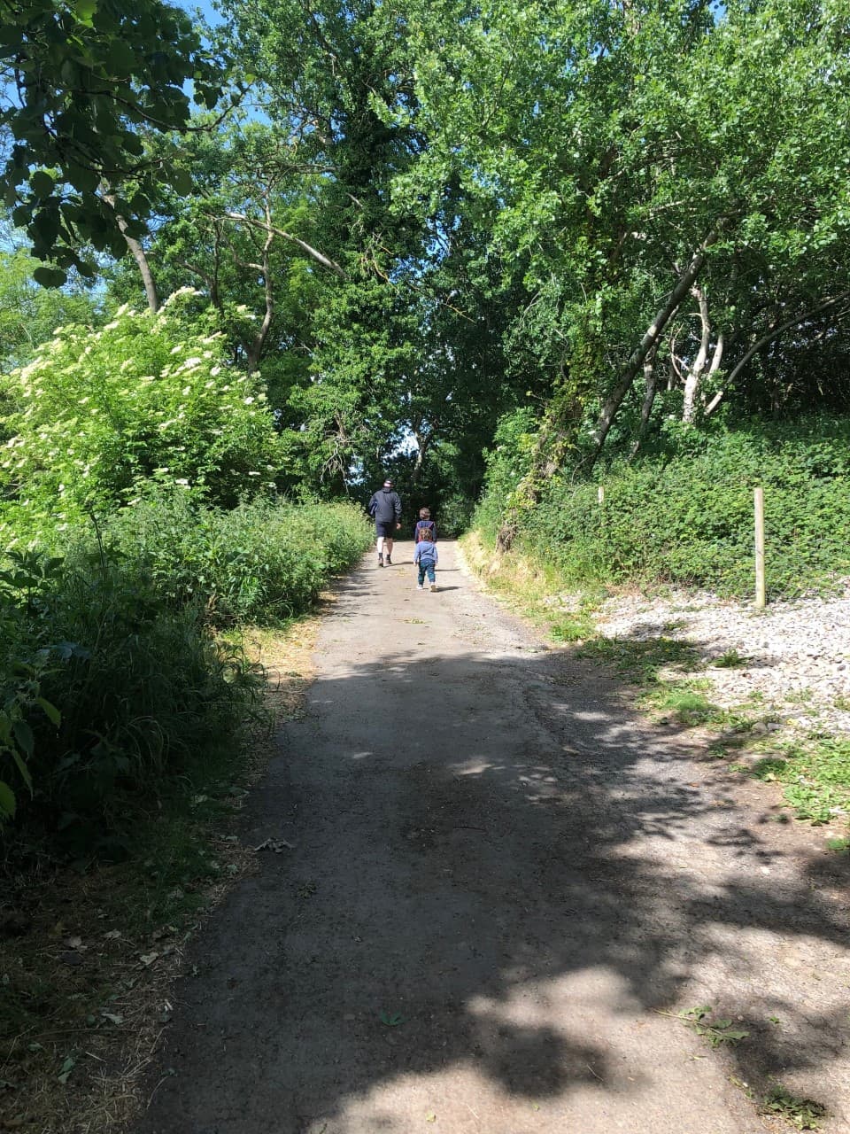 Circular Walk around Chosen Hill (Golden Egg) - image 1