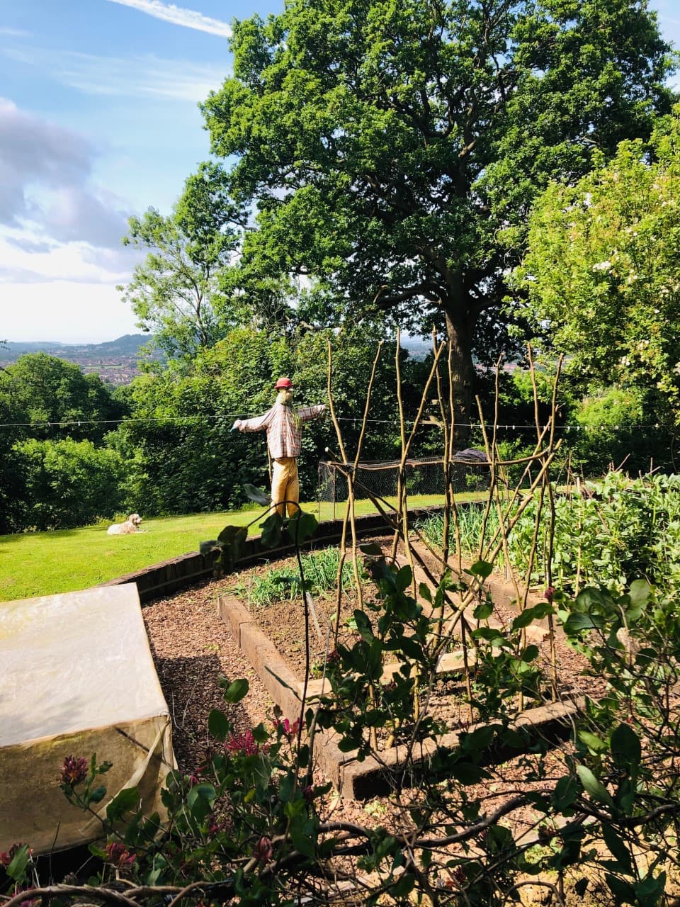 Circular Walk around Chosen Hill (Golden Egg) - image 1