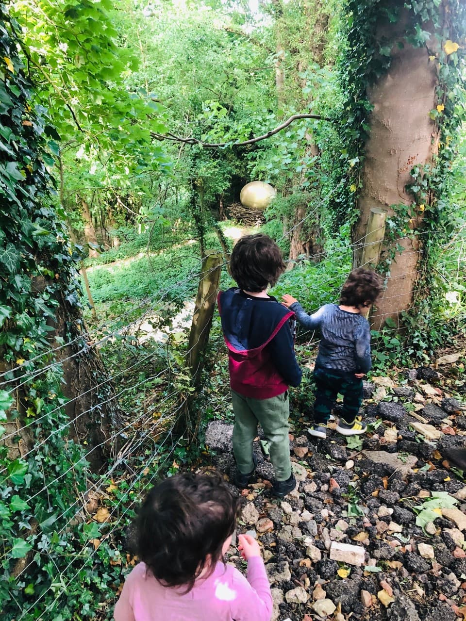 Circular Walk around Chosen Hill (Golden Egg) - image 2