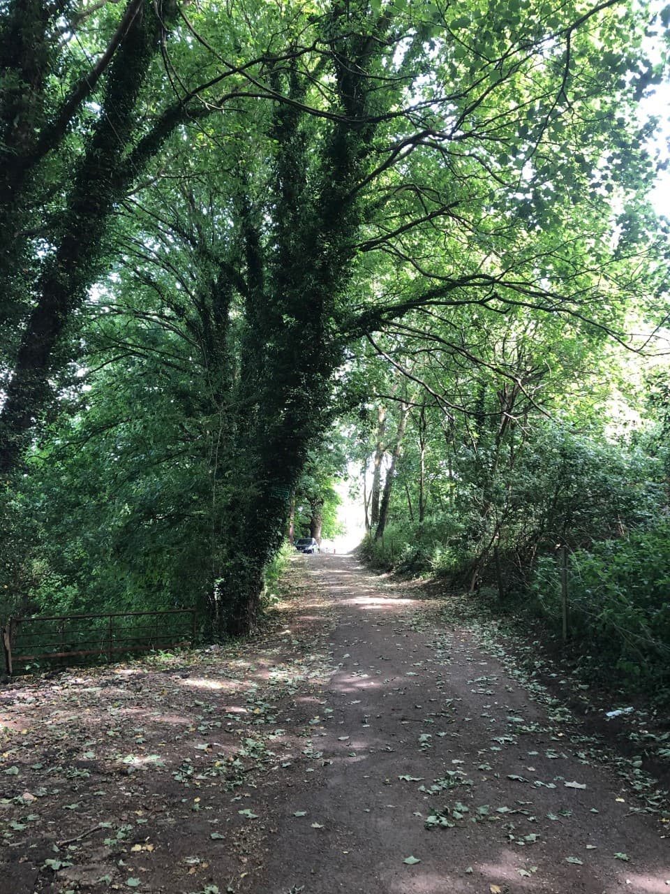 Circular Walk around Chosen Hill (Golden Egg) - image 3