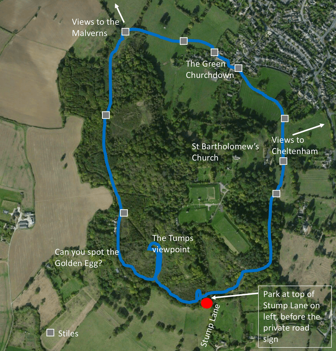 Circular Walk around Chosen Hill (Golden Egg) - image 2