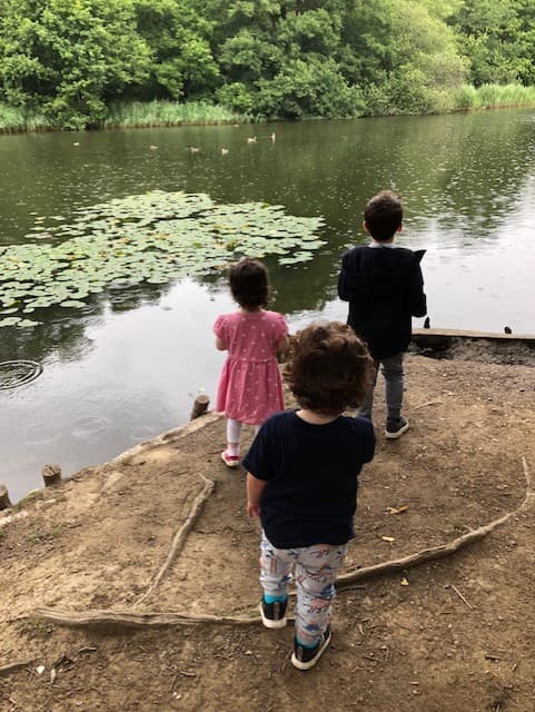 Cannop Ponds - image 1
