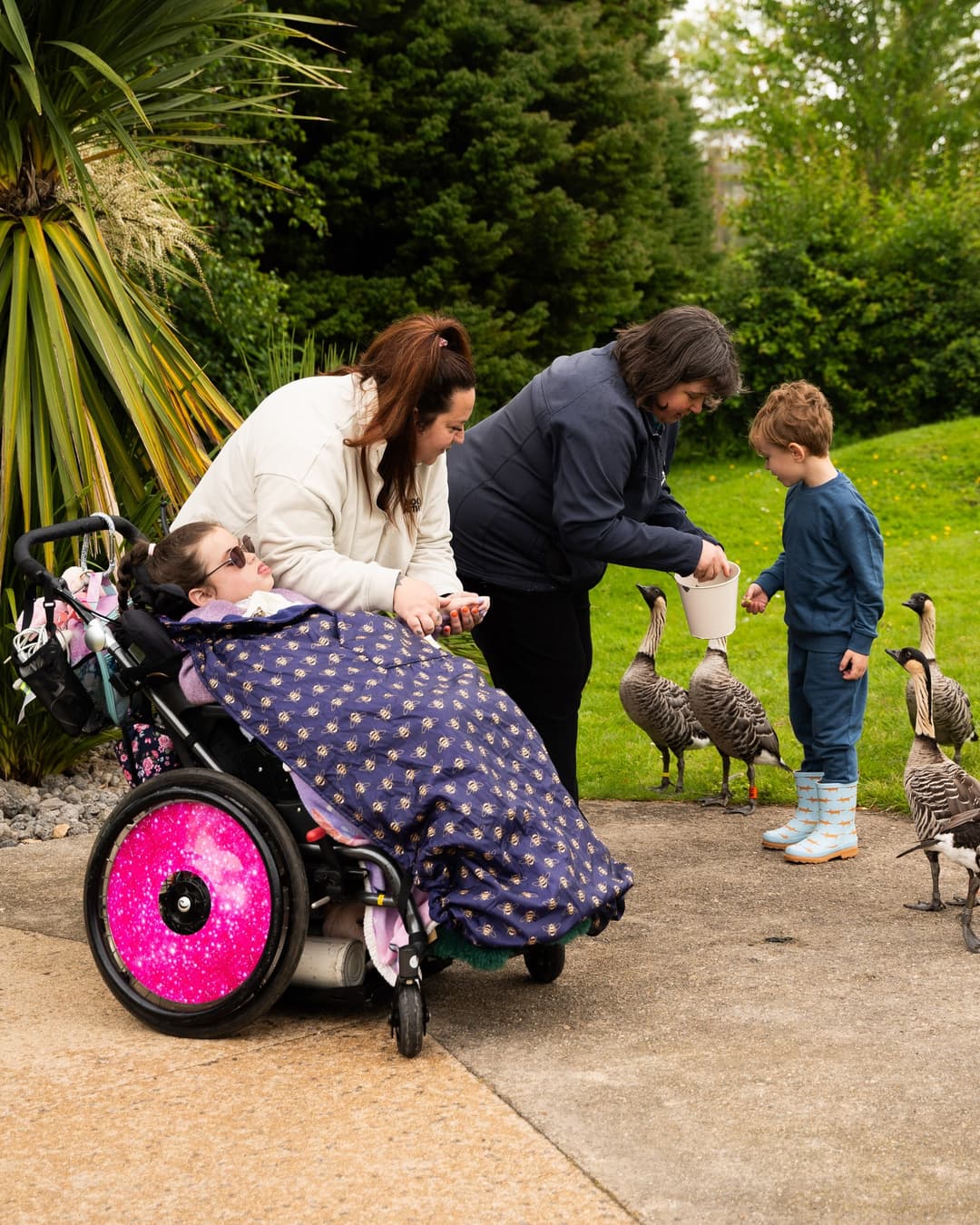 WWT Slimbridge Wetland Centre  - image 1