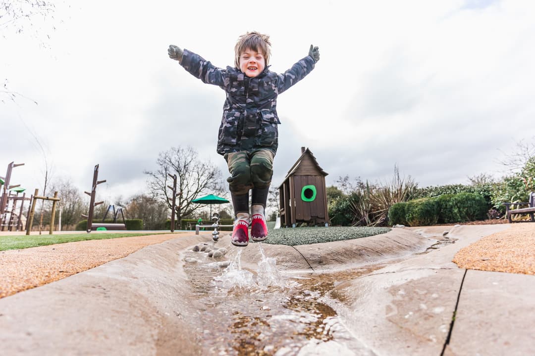 WWT Slimbridge Wetland Centre  - image 1
