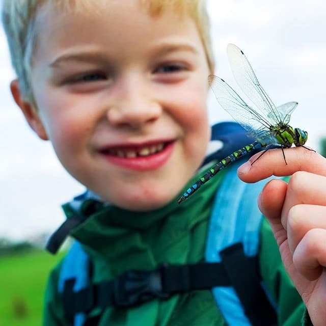 WWT Slimbridge Dragonfly Festival